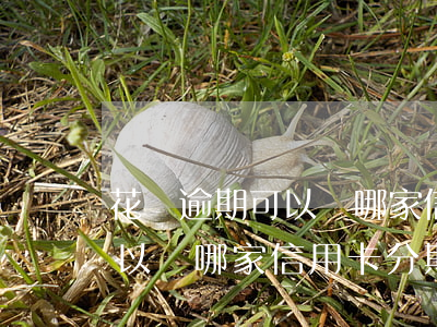 花唄逾期可以辦哪家信用卡分期(花唄逾期可以辦哪家信用卡分期)