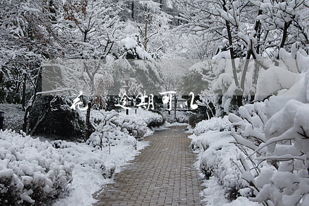 花唄逾期可以辦寬帶嗎(還花唄有寬限期嗎)