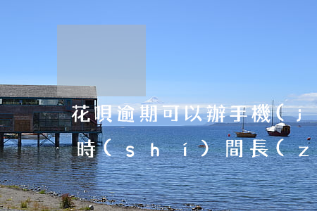 花唄逾期可以辦手機(jī)卡嗎(花唄逾期時(shí)間長(zhǎng)了還上能不能用花唄買(mǎi)東西)
