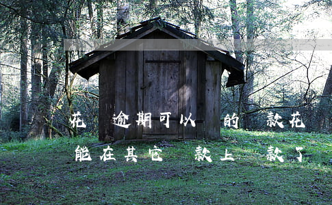花唄逾期可以辦的貸款(花唄逾期是不是就不能在其它貸款上貸款了)