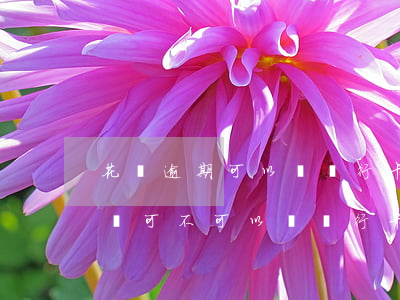 花唄逾期可以辦銀行卡不(花唄沒(méi)還可不可以辦銀行卡)