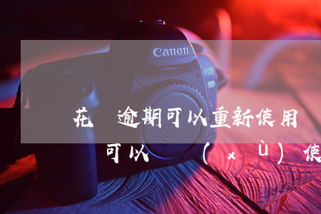 花唄逾期可以重新使用嗎(花唄逾期還了以后還可以繼續(xù)使用嗎)