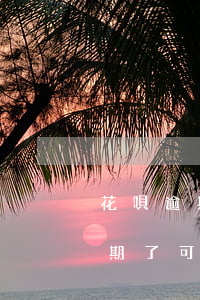花唄逾期可以開網(wǎng)店嘛(花唄逾期了可以申請(qǐng)支付寶線下服務(wù)商嗎)