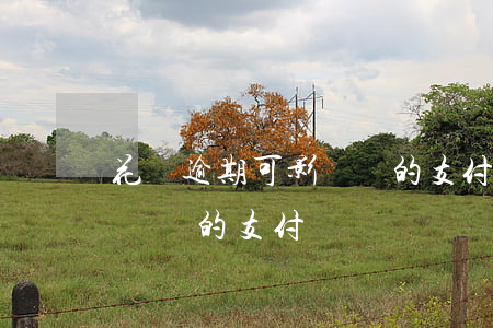 花唄逾期可影響別的支付寶-花唄逾期可影響別的支付寶嗎