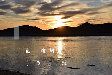 花唄逾期吊銷駕駛證嗎(貸款逾期會(huì)吊銷駕照嗎)