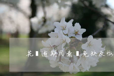 花唄逾期同意減免缺反悔