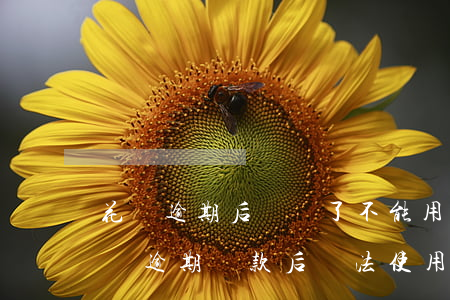 花唄逾期后來還了不能用了多久會解封-花唄逾期還款后無法使用多久才能解凍