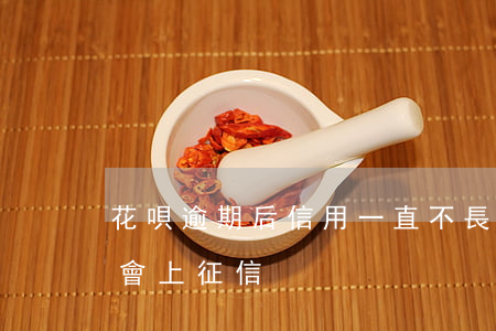 花唄逾期后信用一直不長(花唄超過多久不還會上征信)