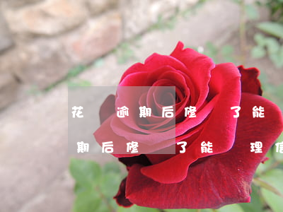 花唄逾期后修復了能辦理信用卡嗎-花唄逾期后修復了能辦理信用卡嗎安全嗎