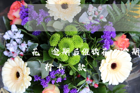 花唄逾期后催收(花唄逾期后催收人員不讓用銀行卡還款)