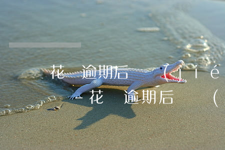 花唄逾期后凍結(jié)不能使用怎么解決-花唄逾期后凍結(jié)不能使用怎么解決呢