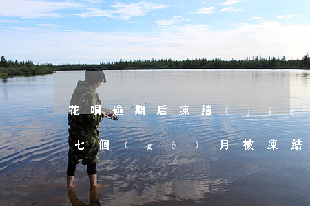 花唄逾期后凍結(jié)半年了 花唄逾期七個(gè)月被凍結(jié) 還清了還能繼續(xù)使用花唄嗎