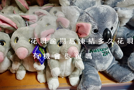 花唄逾期后凍結多久(花唄因逾期被凍結了還有機會恢復嗎)