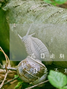 花唄逾期后分期不見了(花唄逾期后分期付款還是不能用怎么回事)
