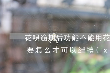 花唄逾期后功能不能用(花唄逾期后不能使用要怎么才可以繼續(xù)使用)