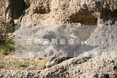 花唄逾期后協(xié)商還款 花唄逾期后協(xié)商還款后為什么還沒清理賬單