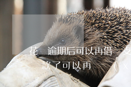 花唄逾期后可以再借嗎(支付寶花唄逾期兩天還款了可以再繼續(xù)借嗎)