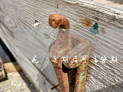花唄逾期后可以分期-花唄逾期后可以分期