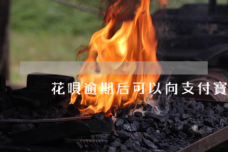 花唄逾期后可以向支付寶商量分期嗎?