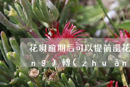 花唄逾期后可以提前還(花唄逾期自動(dòng)轉(zhuǎn)入下個(gè)月可以提前還款嗎)