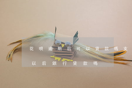 花唄逾期后可以貸款嗎(支付寶花唄逾期影響以后銀行貸款嗎?)