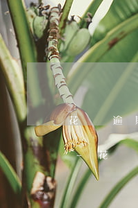 花唄逾期后多長時間才能恢復(fù)信用-花唄逾期后多長時間才能恢復(fù)信用貸款