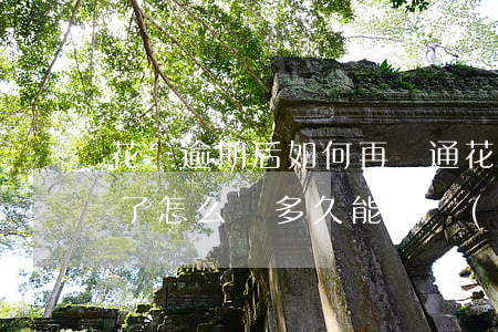 花唄逾期后如何再開通(花唄逾期后不能使用了怎么辦多久能恢復(fù))