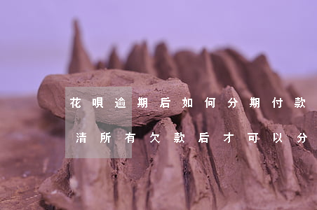 花唄逾期后如何分期付款(花唄逾期必須要還清所有欠款后才可以分期嗎)