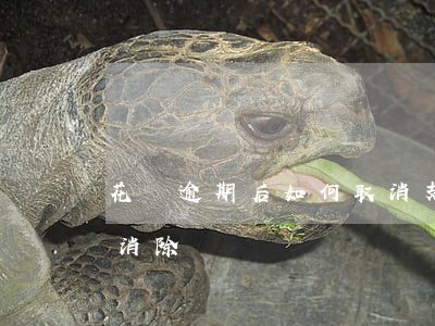 花唄逾期后如何取消(支付寶花唄逾期了怎么消除)