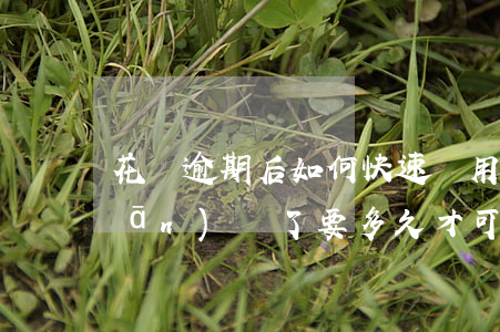 花唄逾期后如何快速啟用(花唄逾期關(guān)閉了要多久才可以重新開啟)