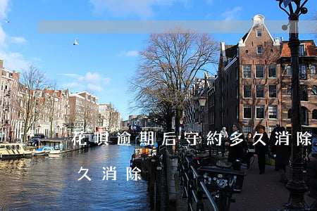 花唄逾期后守約多久消除(借唄逾期后守約多久消除)