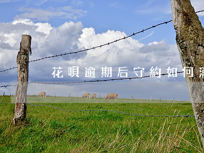 花唄逾期后守約如何消除