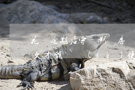 花唄逾期后守約影響房貸(花唄逾期后守約多久才能繼續(xù)使用花唄)
