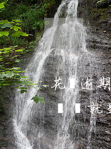 花唄逾期后守約 花唄逾期后守約無(wú)記錄就是沒(méi)有過(guò)逾期?