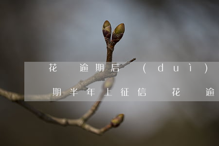 花唄逾期后對(duì)征信有影響(花唄逾期半年上征信嗎?花唄逾期有什么后果)
