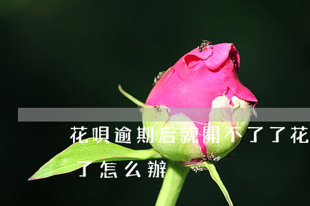 花唄逾期后就開不了了(花唄逾期后就開不了了怎么辦)