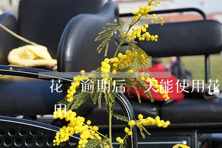 花唄逾期后幾天能使用(花唄逾期后幾天能使用嗎)