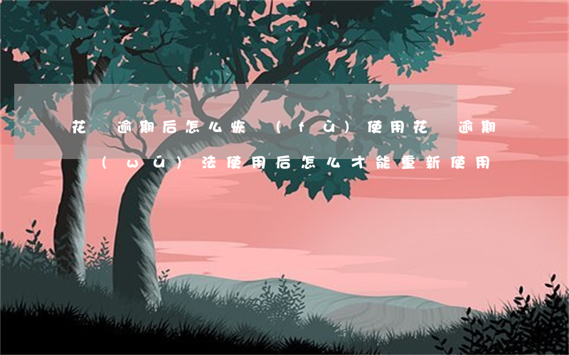 花唄逾期后怎么恢復(fù)使用(花唄逾期無(wú)法使用后怎么才能重新使用)