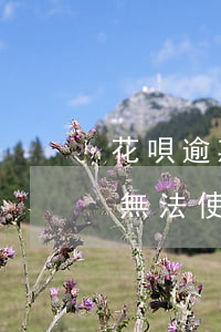 花唄逾期后怎么才能開通(花唄逾期后還款后無法使用后什么時(shí)候開通)