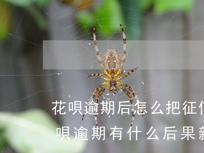 花唄逾期后怎么把征信(花唄逾期上征信嗎?花唄逾期有什么后果 新聞)