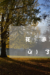 花唄逾期后怎么提高額度(花唄逾期修復(fù)了還可以提升額度嗎?)