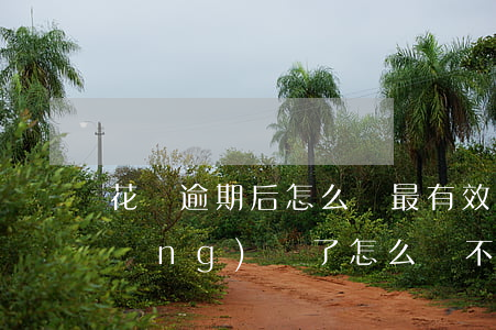花唄逾期后怎么辦最有效(花唄逾期已經(jīng)還了,怎么還不可以用花唄)