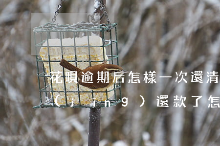 花唄逾期后怎樣一次還清(花唄逾期過后已經(jīng)還款了怎樣恢復(fù)正常)