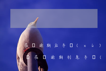 花唄逾期后手續(xù)費(fèi)(支付寶花唄逾期利息手續(xù)費(fèi))