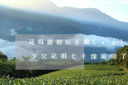 花唄逾期后手續(xù)費(fèi)是多少(欠花唄七千塊,逾期了要收多少手續(xù)費(fèi))