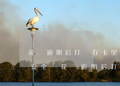 花唄逾期后打錢在卡里會(huì)扣除嗎安全嗎（花唄逾期后打錢在卡里會(huì)扣除嗎）