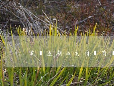 花唄逾期后支付寶有錢自己扣