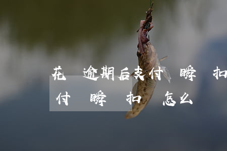 花唄逾期后支付寶瞬間扣錢-花唄逾期后支付寶瞬間扣錢怎么辦
