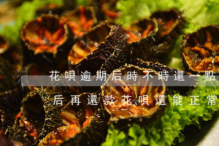 花唄逾期后時不時還一點可以嗎-花唄逾期后再還款,花唄還能正常使用嗎?