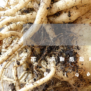 花唄逾期后最低還款了(花唄逾期最低還款后邊有個(gè)還款后不算逾期)